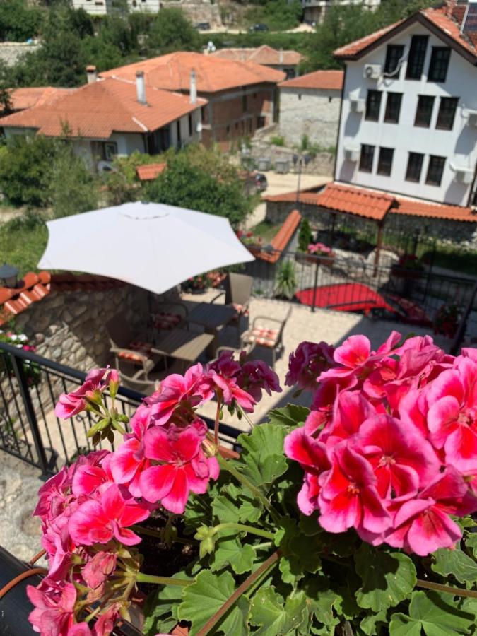 Сининкова Къща Melnik  Exteriér fotografie